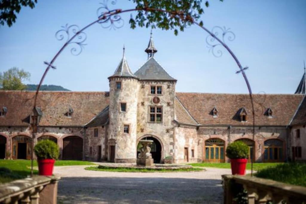 Le Patio Du Chateau De Thanvillé エクステリア 写真